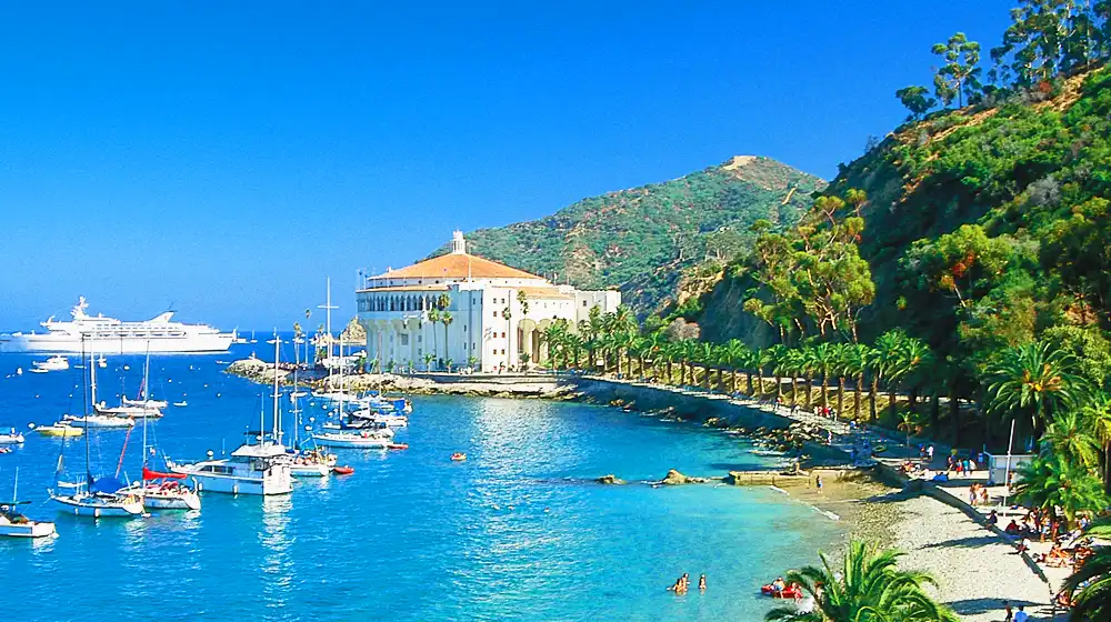 Catalina Island Beach, Boats and Cruise - Things to Do in Catalina Island