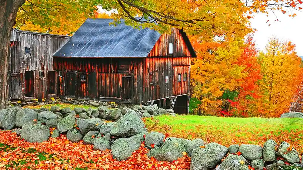 New Hampshire Fall Foliage: A Guide to Nature’s Colorful Display
