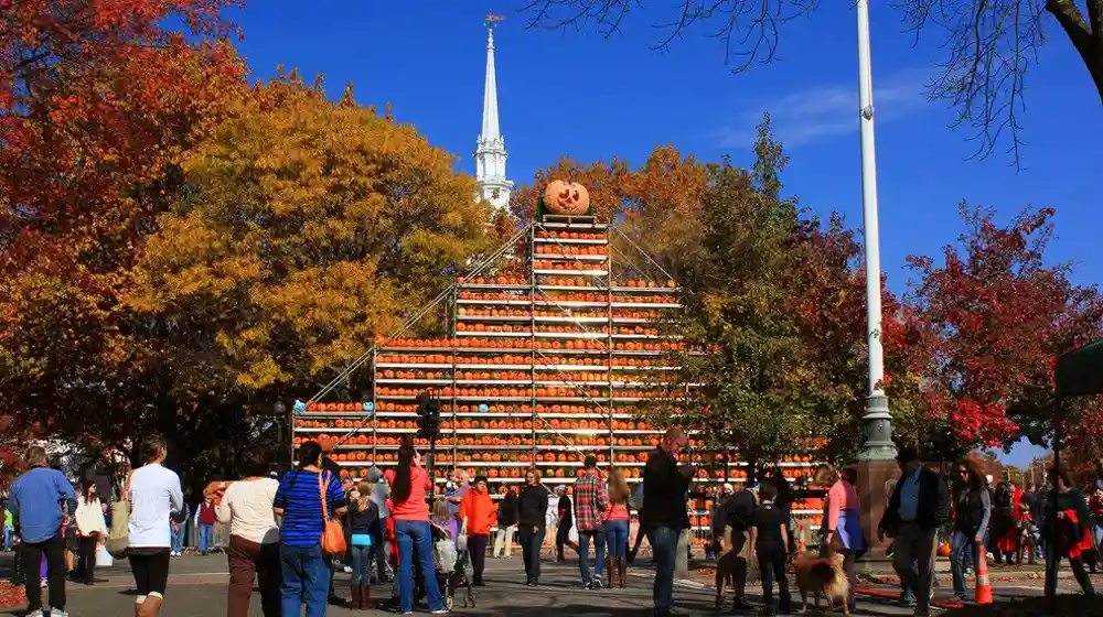 Pumpkin Patch Festival at New Hampshire in the Fall