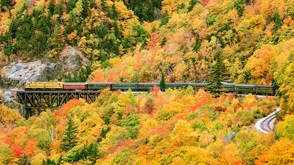 Vermont Fall Folliage, A Scenic Train Ride