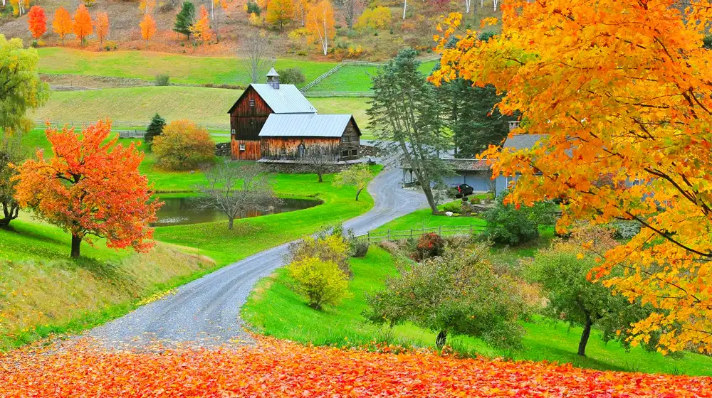 Travel to Vermont in the Fall: A Luxury Leaf Peeping Paradise