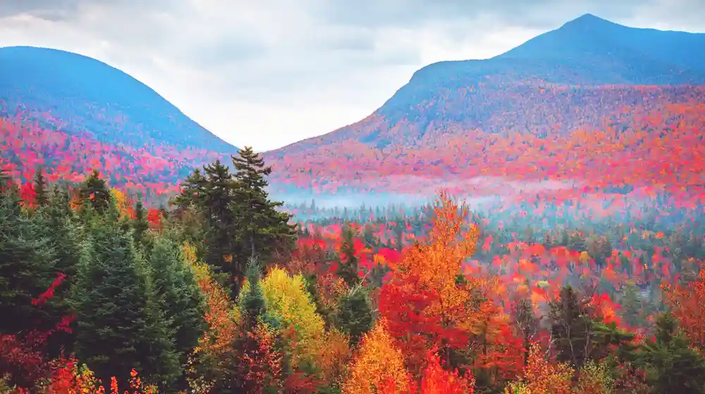 White Mountains New Hampshire Fall Foliage View